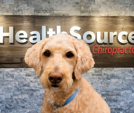 Goldendoodle, Binks the HealthSource of Downtown Mokena office dog